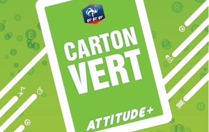 LE CARTON VERT ATTITUDE+