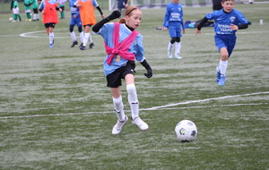 67094f8d4e3a8_IMG2922.jpeg
