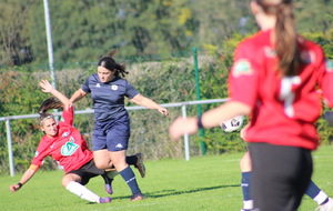 67095016691fc_IMG2900.jpeg