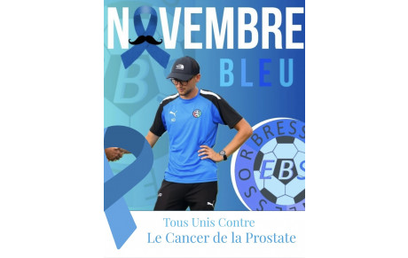 NOVEMBRE BLEU
